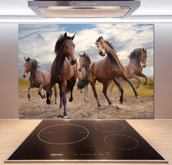 Spatscherm keuken Vijf paarden