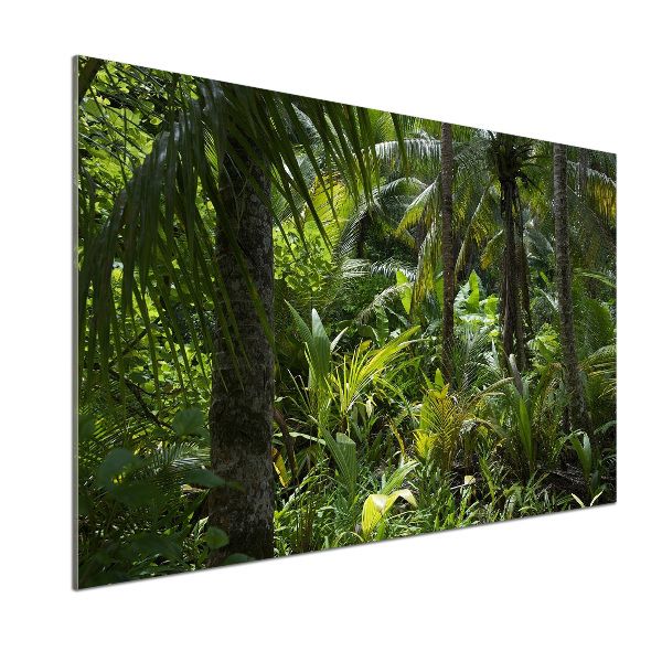 Keuken achterwand Tropisch bos