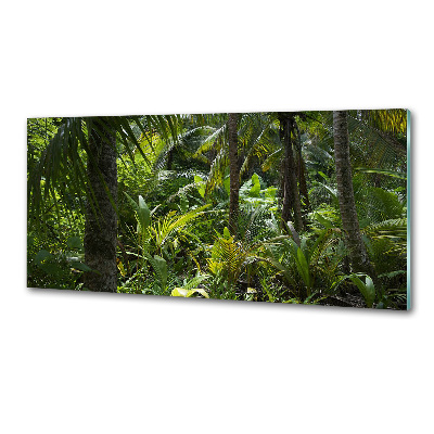 Keuken achterwand Tropisch bos