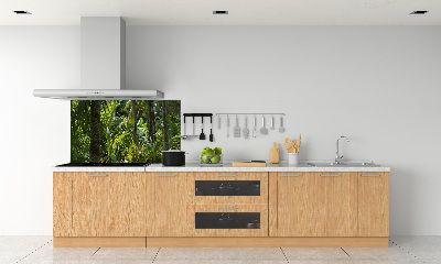 Keuken achterwand Tropisch bos