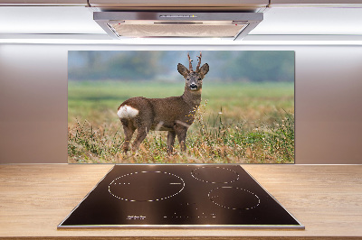 Panel szklany do kuchni Sarna