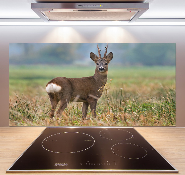 Panel szklany do kuchni Sarna