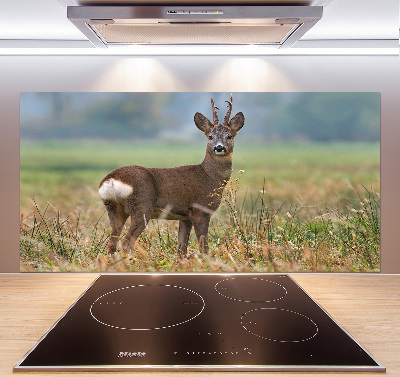 Panel szklany do kuchni Sarna