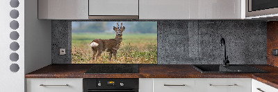 Spatplaat keuken Roe