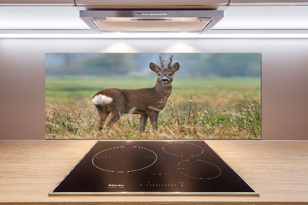 Panel szklany do kuchni Sarna