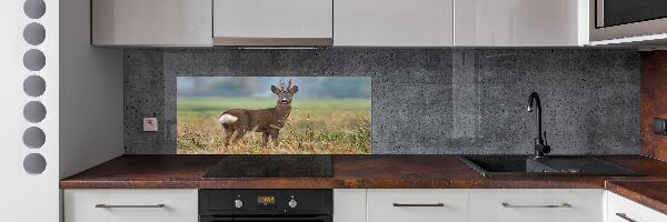 Spatplaat keuken Roe