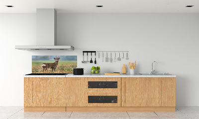 Spatplaat keuken Roe