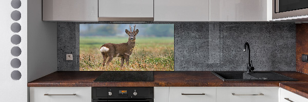Spatplaat keuken Roe