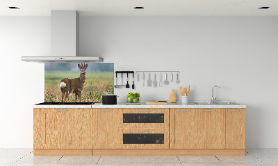 Spatplaat keuken Roe