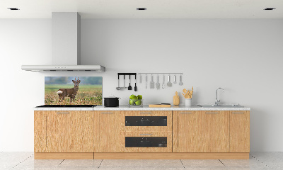 Spatplaat keuken Roe