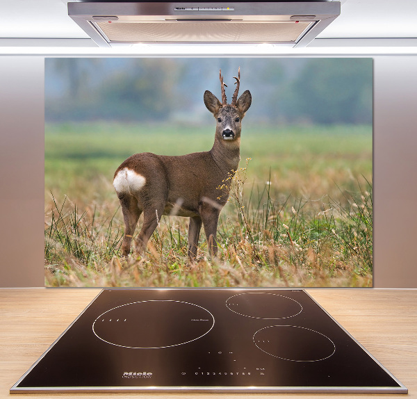 Spatplaat keuken Roe