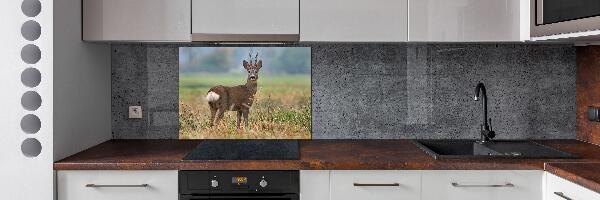 Spatplaat keuken Roe