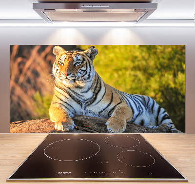 Keuken achterwand Portret van een tijger