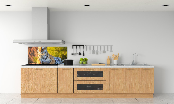 Keuken achterwand Portret van een tijger