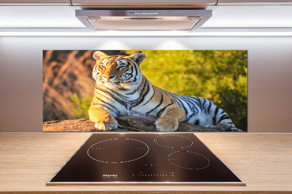 Keuken achterwand Portret van een tijger