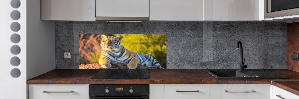 Keuken achterwand Portret van een tijger