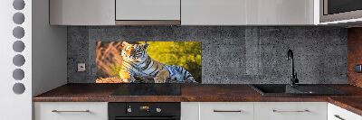 Keuken achterwand Portret van een tijger