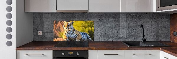 Keuken achterwand Portret van een tijger