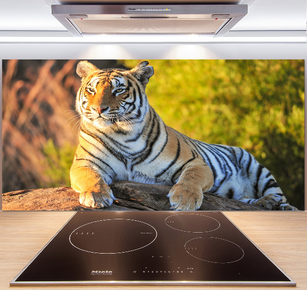 Keuken achterwand Portret van een tijger