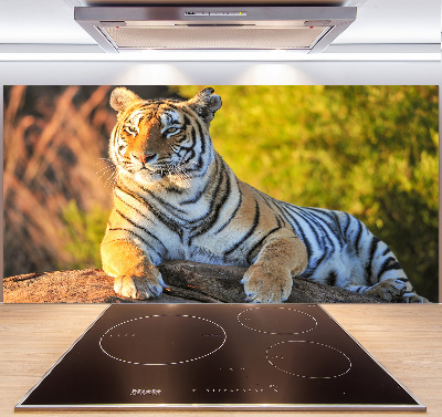 Panel do kuchni Portret tygrysa