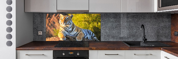 Keuken achterwand Portret van een tijger