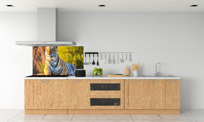 Keuken achterwand Portret van een tijger