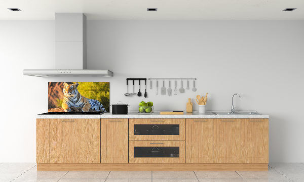 Keuken achterwand Portret van een tijger