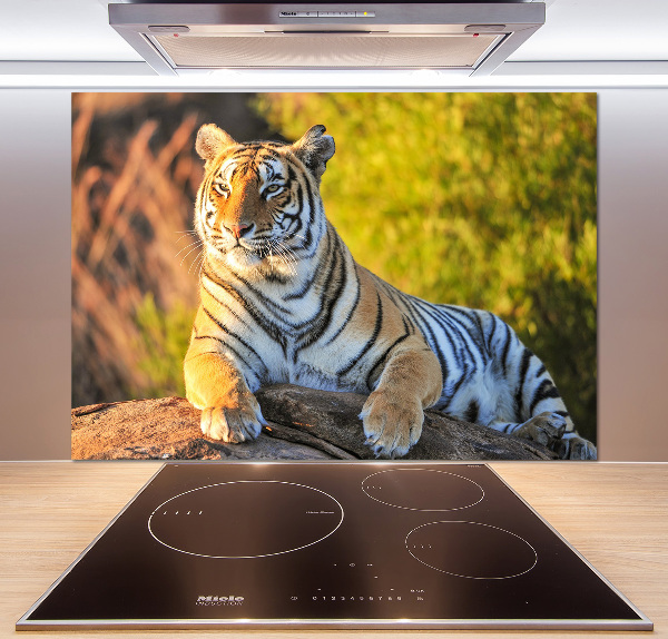 Keuken achterwand Portret van een tijger