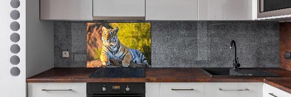 Keuken achterwand Portret van een tijger