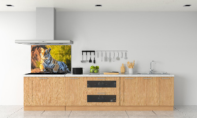 Keuken achterwand Portret van een tijger