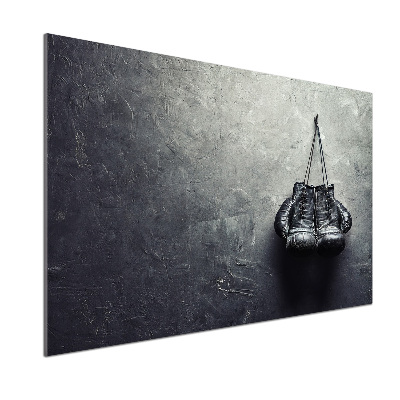 Panel lacobel Rękawice bokserskie