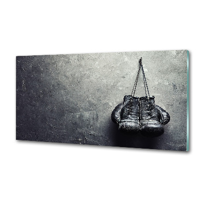 Glazen achterwand keuken Bokshandschoenen
