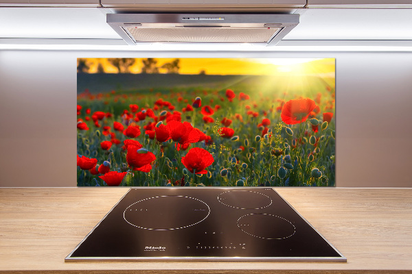 Spatplaat keuken Klaprozenveld
