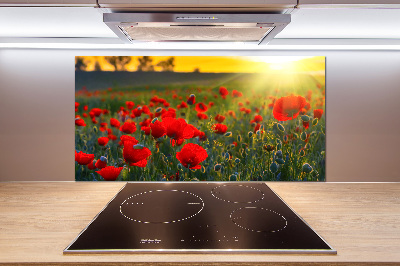 Spatplaat keuken Klaprozenveld