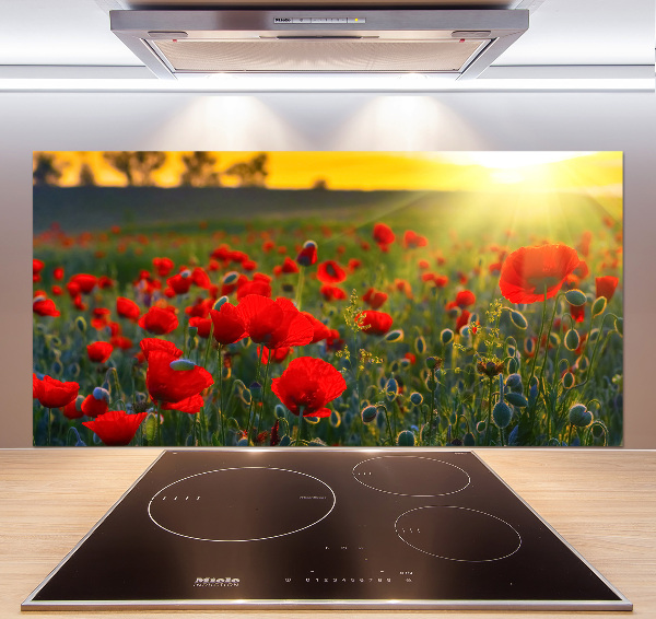 Spatplaat keuken Klaprozenveld
