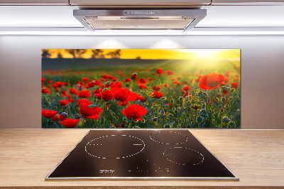 Spatplaat keuken Klaprozenveld