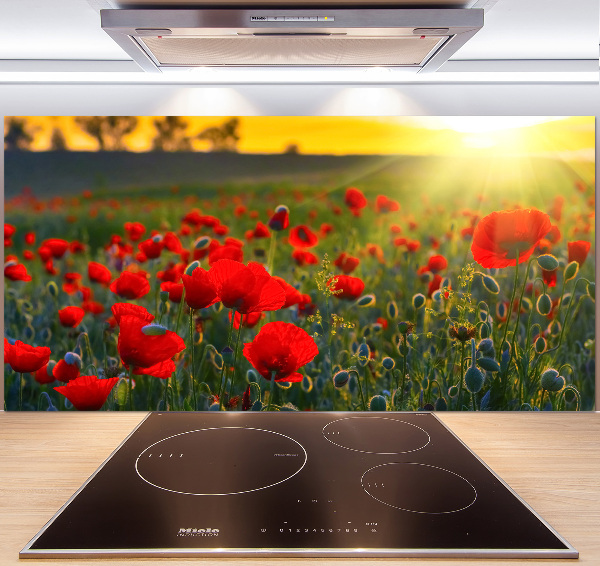Spatplaat keuken Klaprozenveld