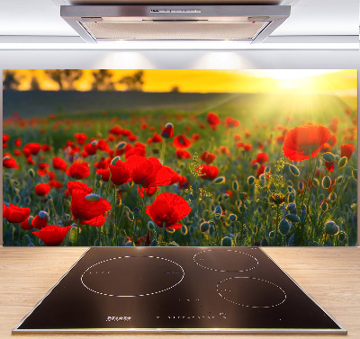 Spatplaat keuken Klaprozenveld