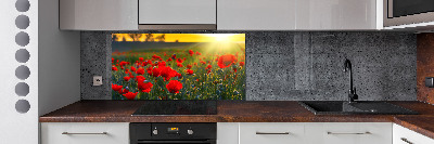 Spatplaat keuken Klaprozenveld
