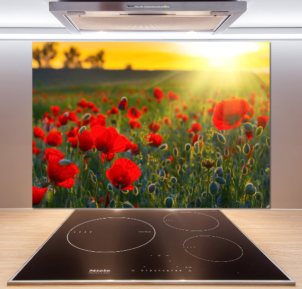 Spatplaat keuken Klaprozenveld
