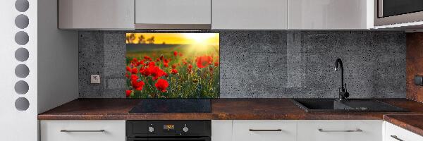 Spatplaat keuken Klaprozenveld