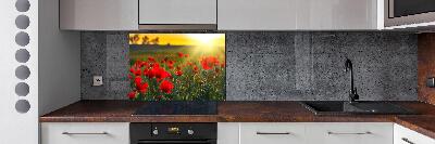 Spatplaat keuken Klaprozenveld