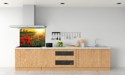 Spatplaat keuken Klaprozenveld