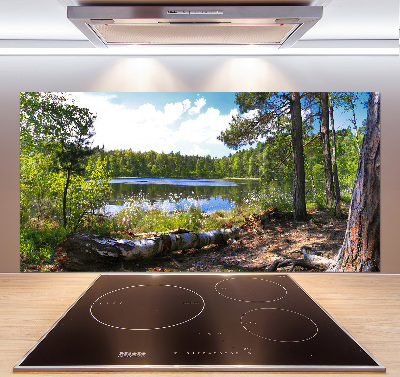 Keuken achterwand Bospanorama