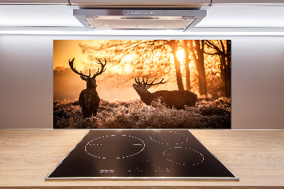 Glazen achterwand keuken Herten zonsopgang