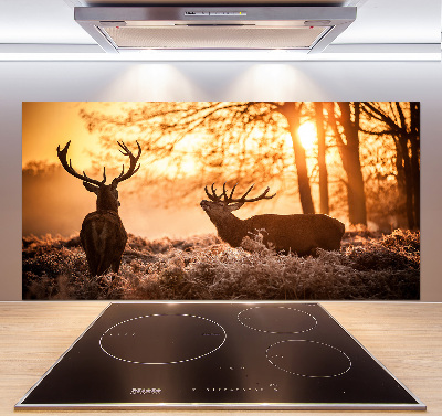 Glazen achterwand keuken Herten zonsopgang