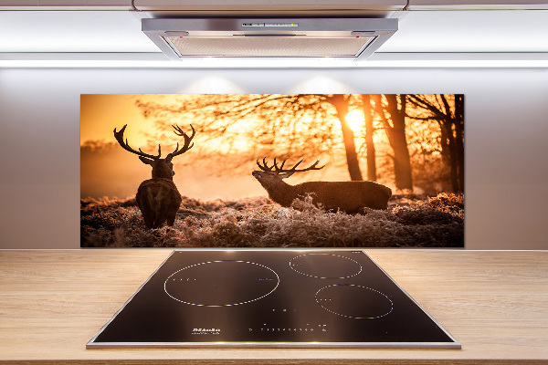 Glazen achterwand keuken Herten zonsopgang
