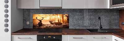 Glazen achterwand keuken Herten zonsopgang