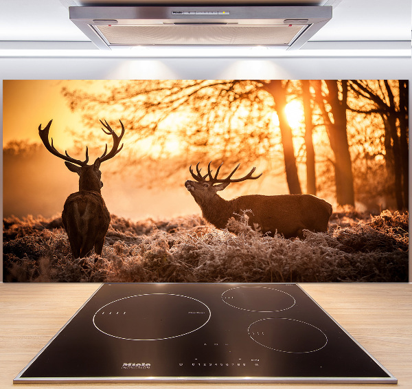 Glazen achterwand keuken Herten zonsopgang
