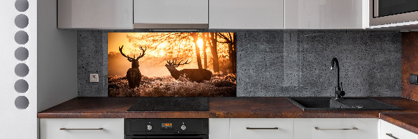 Glazen achterwand keuken Herten zonsopgang